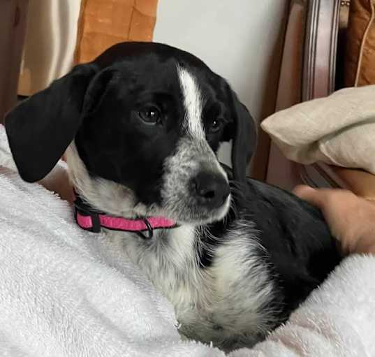 Photo of Lucy