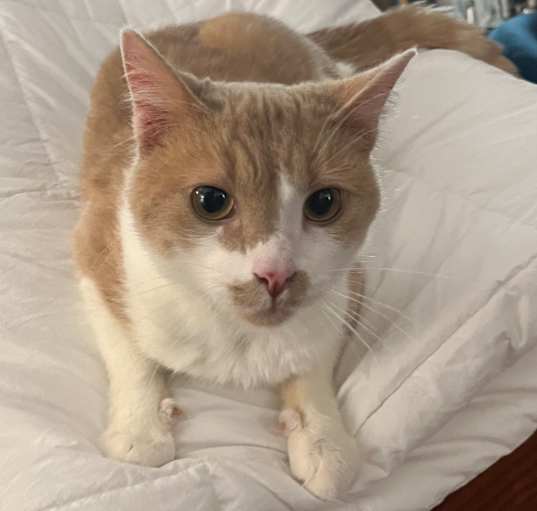 Photo of Charlie