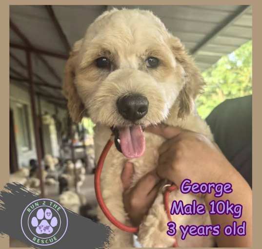 Photo of George