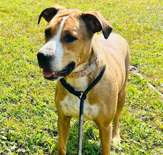 Photo of 24-072/Thelma