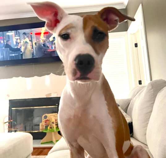 Photo of Bree
