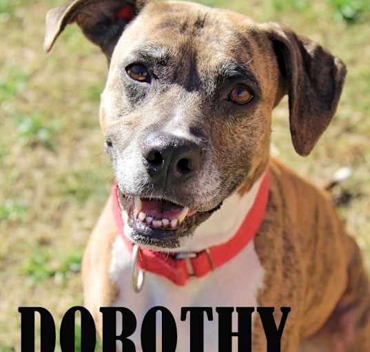 Photo of Dorothy (Dottie)