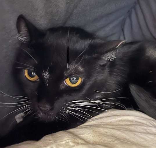 Photo of Loachy