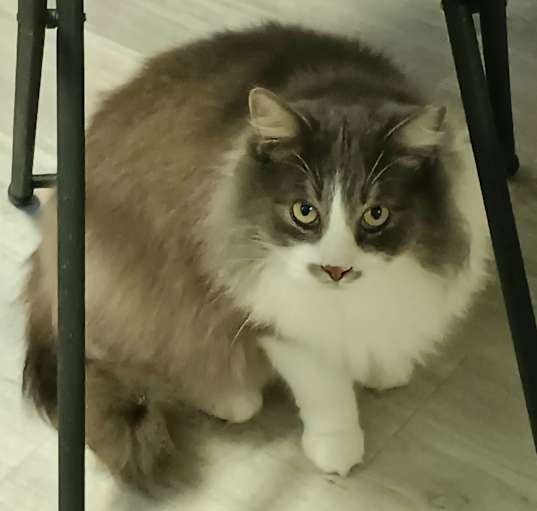 Photo of Sterling