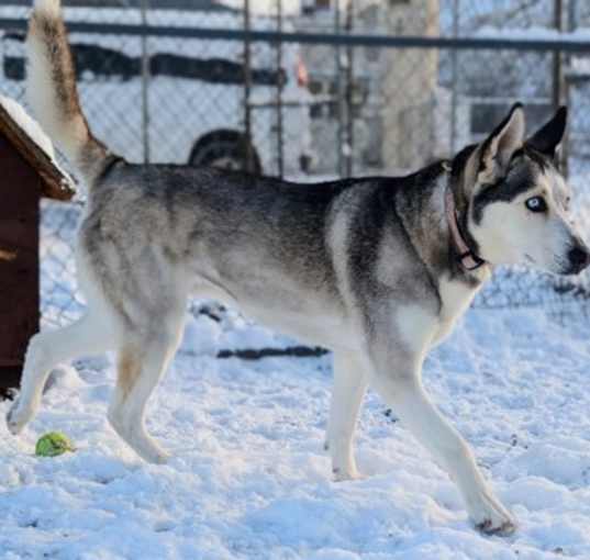 Photo of Echo