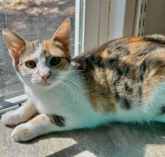 Photo of Jasmine