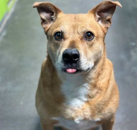 Photo of Sammi