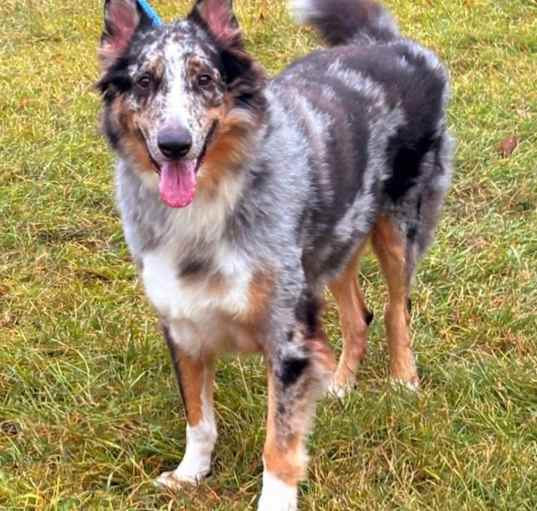 Photo of SIR LOKI