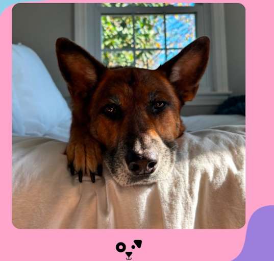 Photo of Sadie