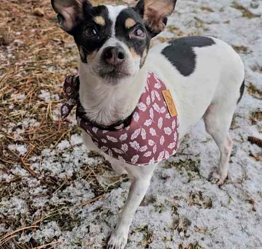 Photo of Evie