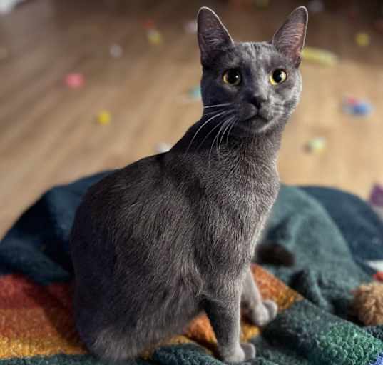 Photo of Moe