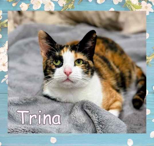 Photo of Trina