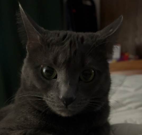 Photo of Gabby