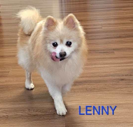 Photo of Lenny