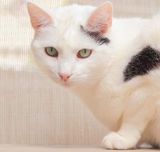 Photo of Sally Mae