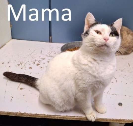 Photo of Mama