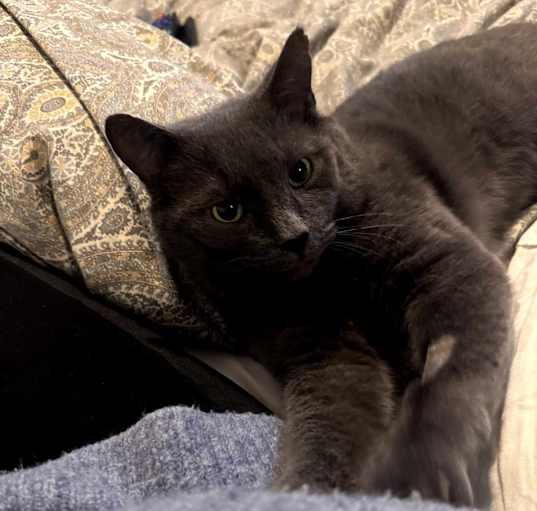 Photo of Yuri