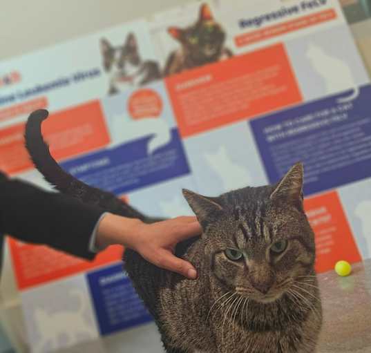 Photo of Mr. Whiskers
