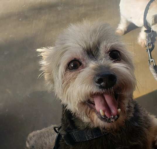Photo of SCOTTY