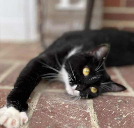Photo of Minnie th