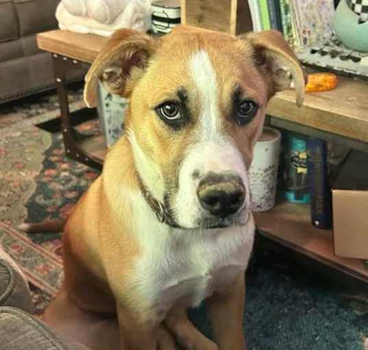 Photo of Avery Urgent