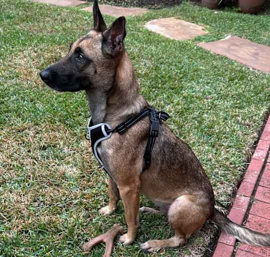 Photo of Penelope