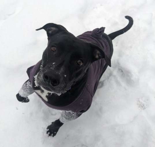 Photo of Minerva
