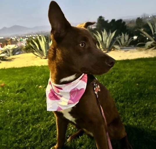 Photo of Lexi