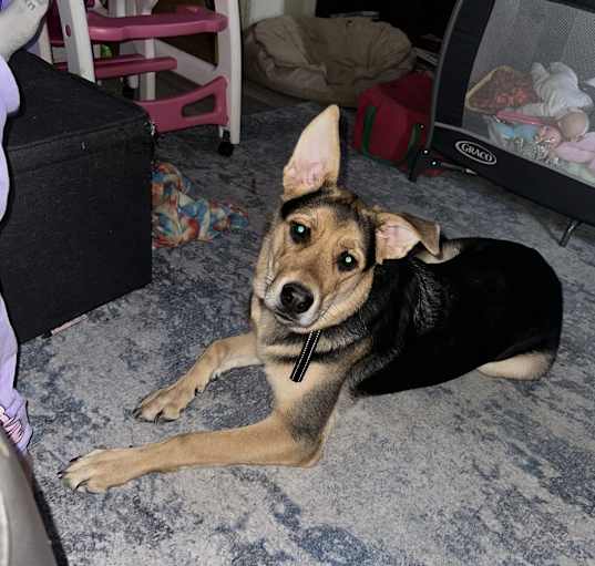 Photo of Hazel