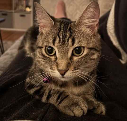 Photo of Remi