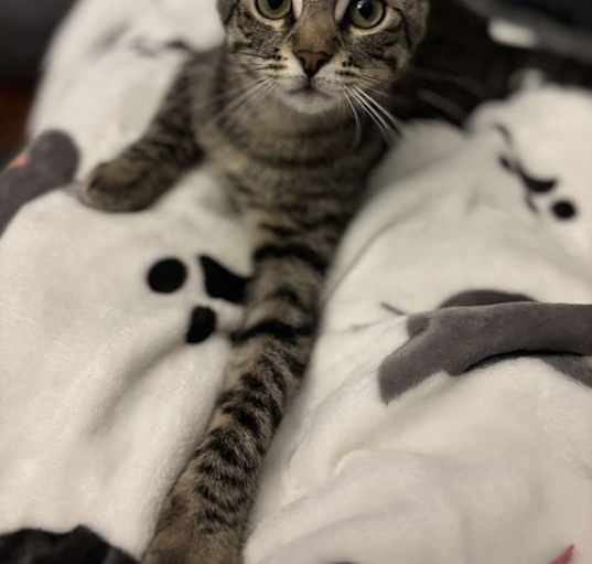 Photo of Fiona