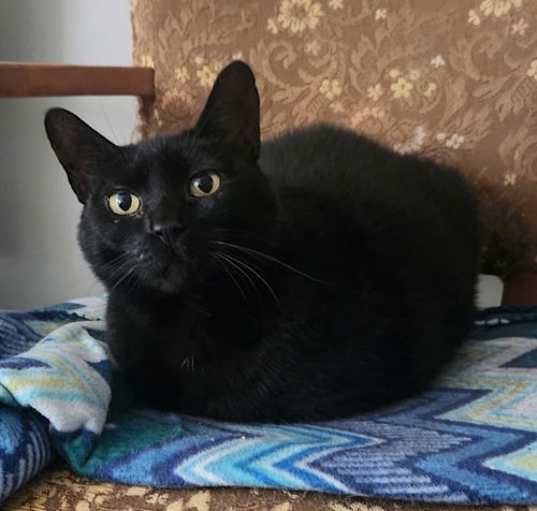 Photo of Missie
