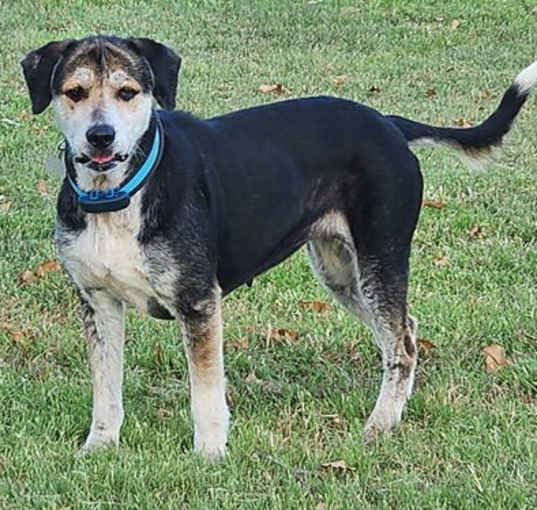Photo of Dottie