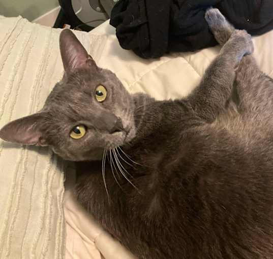Photo of MoMo