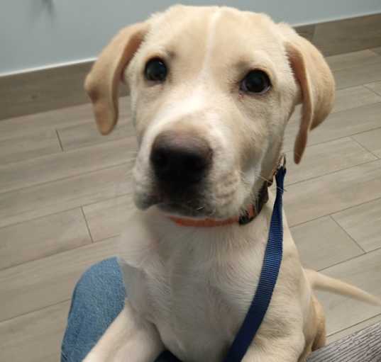 Photo of Waylon