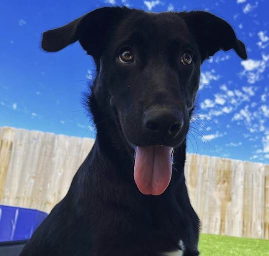 Photo of Coco