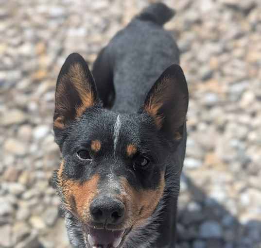 Photo of Stripe