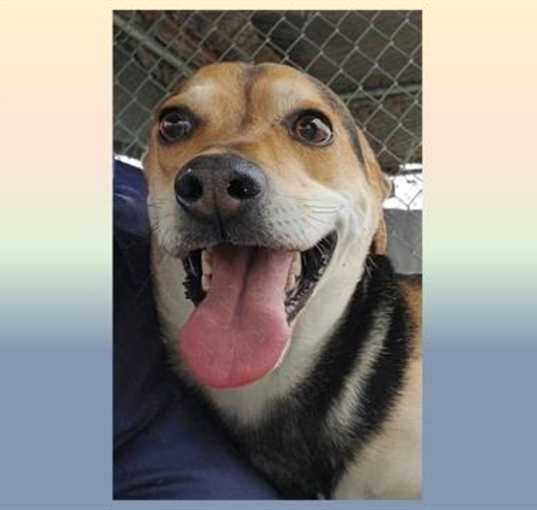 Photo of BANDIT