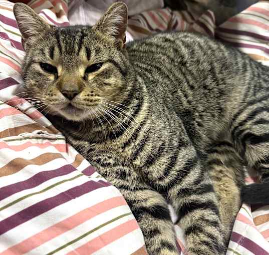 Photo of Tommy Tuna