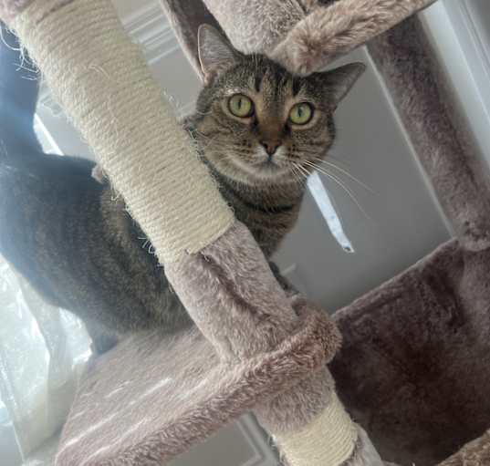 Photo of Arya “Ari”