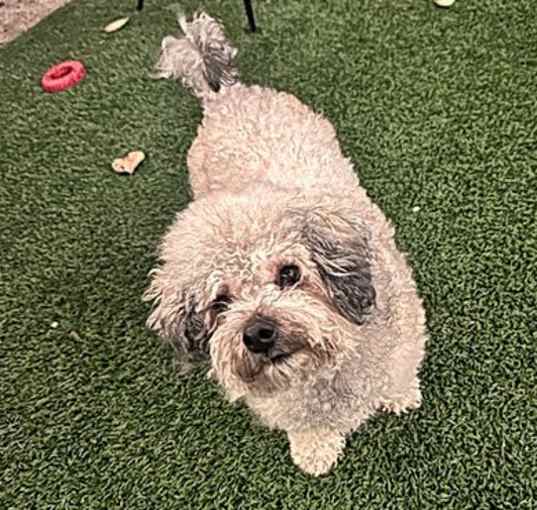 Photo of Molly