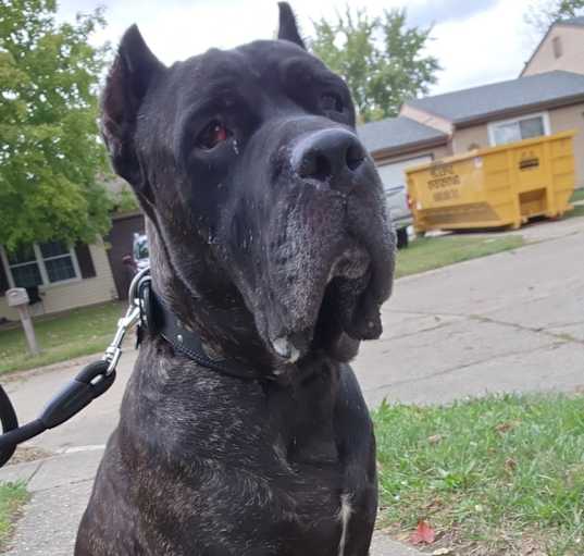 Photo of Crowley