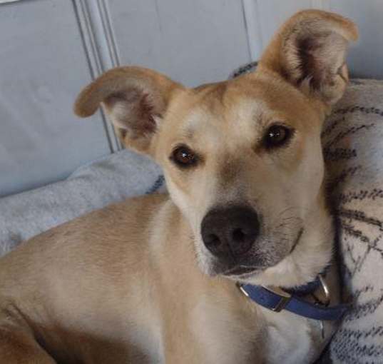 Photo of Ellie