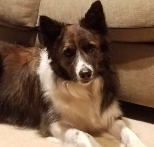 Photo of Sophie