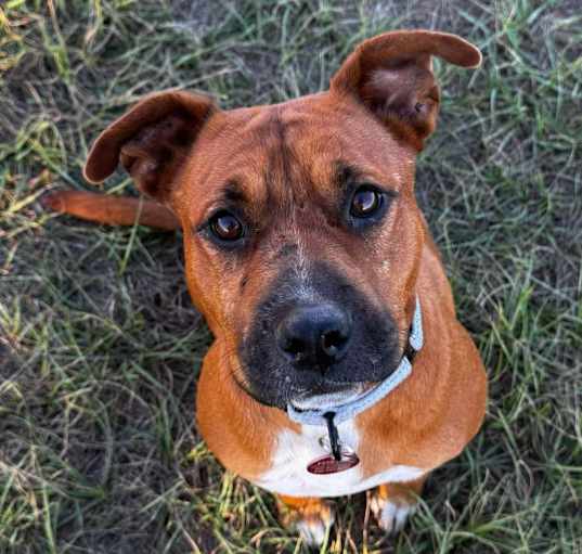 Photo of Penelope