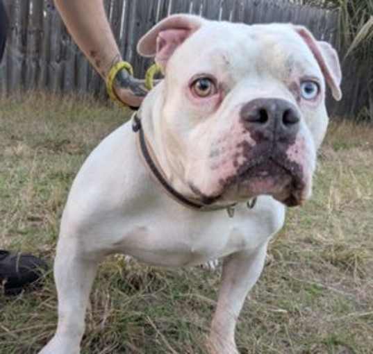 Photo of Jasper