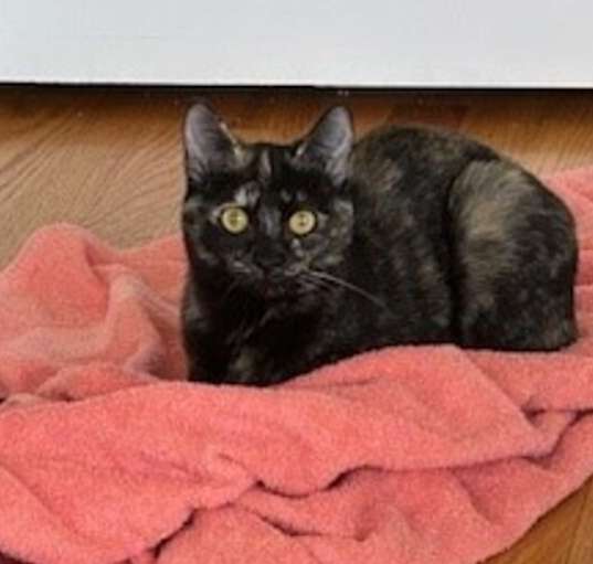 Photo of Suzi