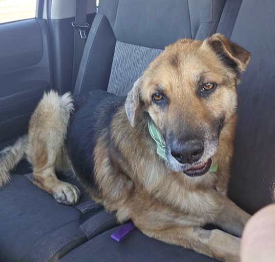 Photo of Murphy