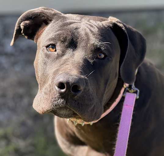 Photo of Athena
