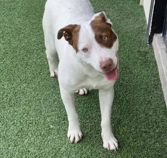 Photo of Spot 3624